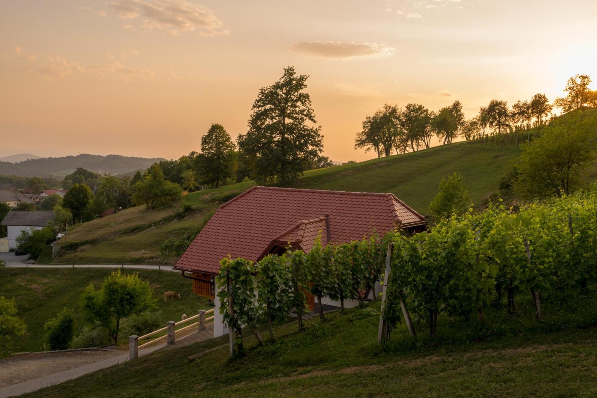 Vineyard Cottage Krivic Trebelno Exterior photo