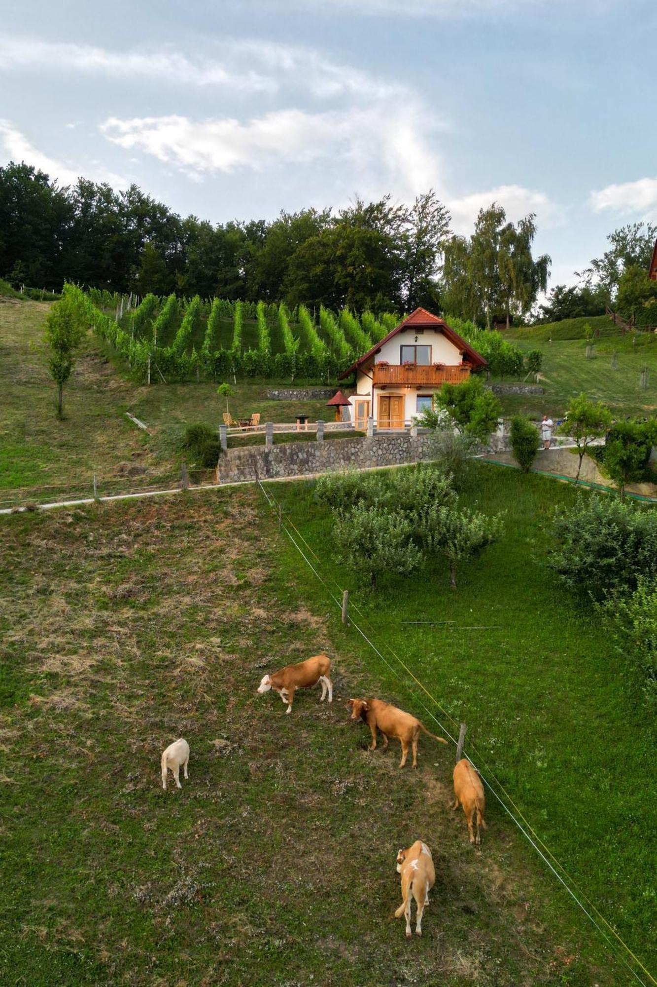 Vineyard Cottage Krivic Trebelno Exterior photo